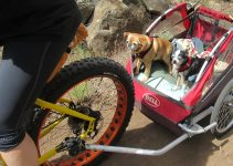 CARRO PERRO BICI ADECUADO A TU MASCOTA