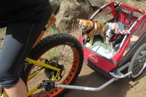 CARRO PERRO BICI ADECUADO A TU MASCOTA