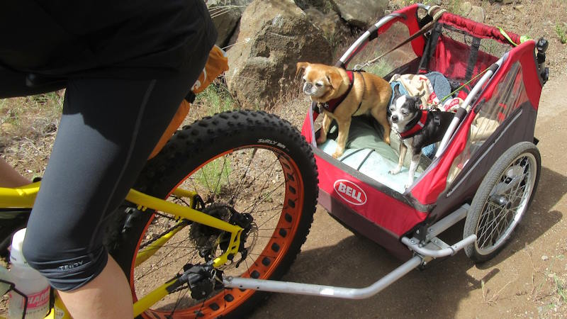 CARRO PERRO BICI ADECUADO A TU MASCOTA 1 carro perro bici